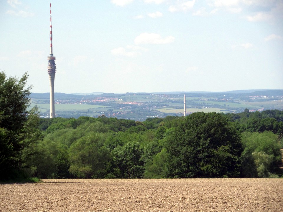 Blick auf Dresden / Fernsehturm
